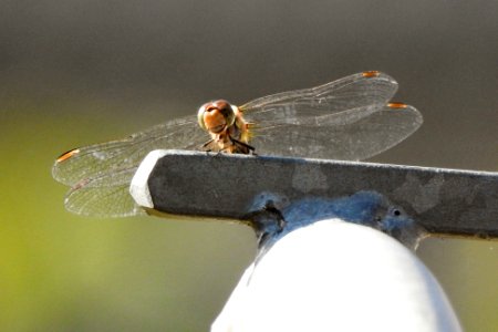 ready for take off photo