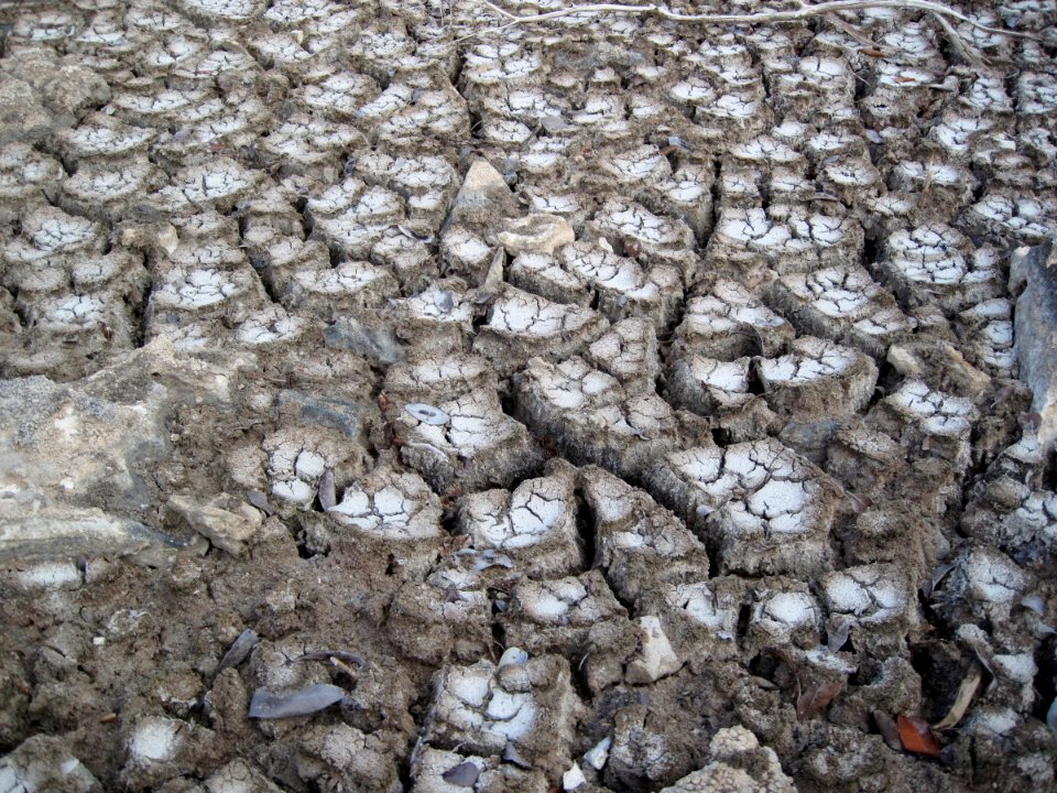 The Old Well is Dry
