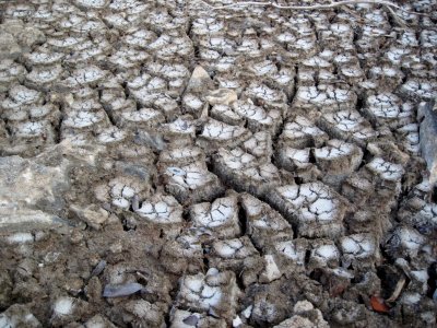 The Old Well is Dry