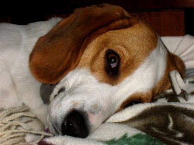 I've Got My Eye On You