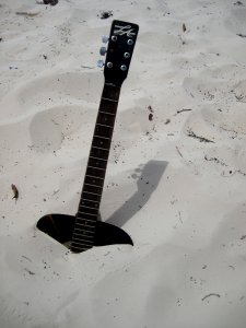 Needs a Little TLC