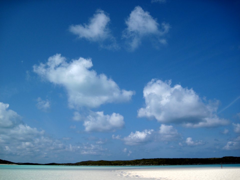 All Shades of Blue