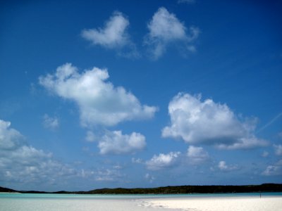 All Shades of Blue