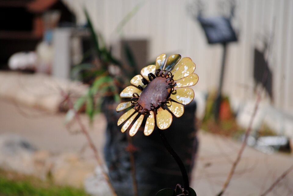Yellow decoration garden