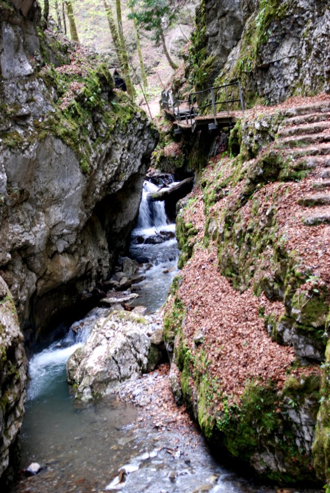Walking through the Devil's Passage in Gorski Kotar