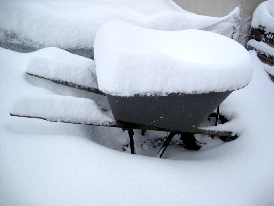 My Wheelbarrow Runneth Over