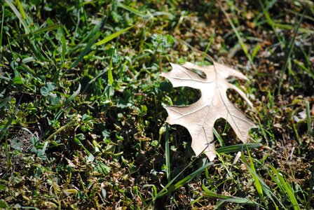 Autumn fall season