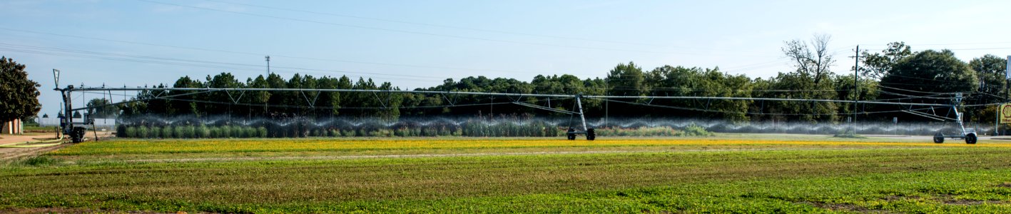 20170825-OSEC-LSC-0036