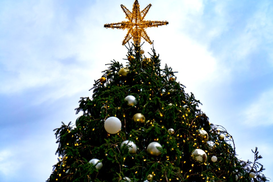 Christmas Tree at South Street Seaport
