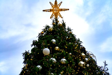 Christmas Tree at South Street Seaport photo