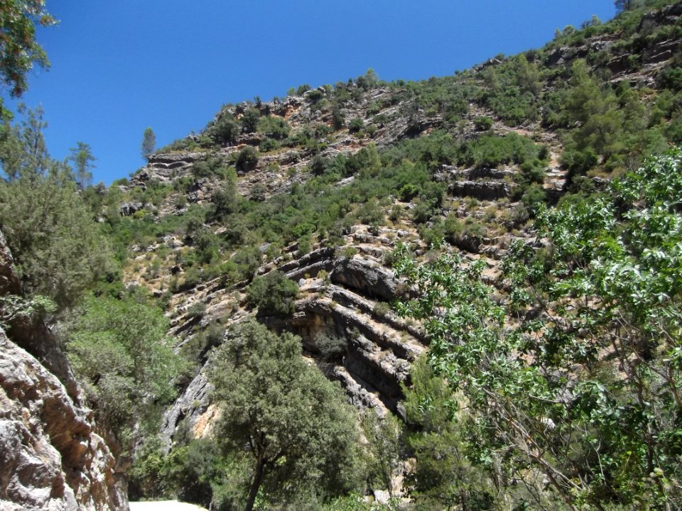 Pliegue anticlinal. Loma de María Ángela (Jaén).