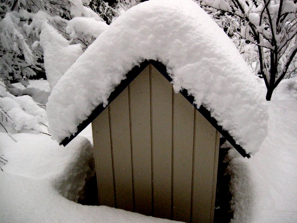 More Snow Measurement Devices
