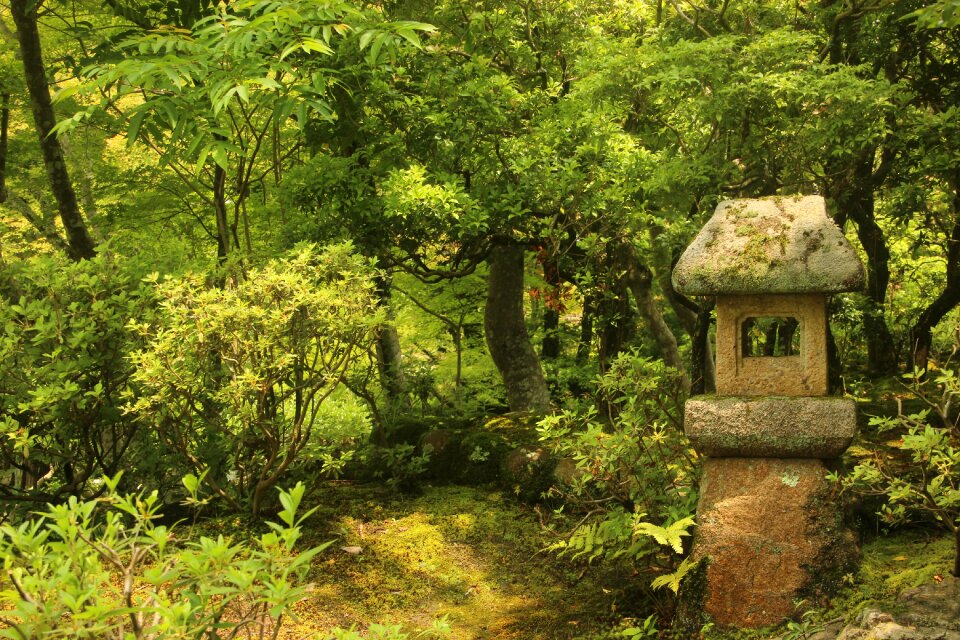 Shrine greenery nature