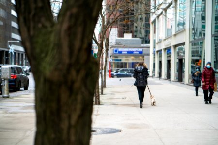 Woman walking dog near 88 Pine St; among the scarce people of New York on an overcast day