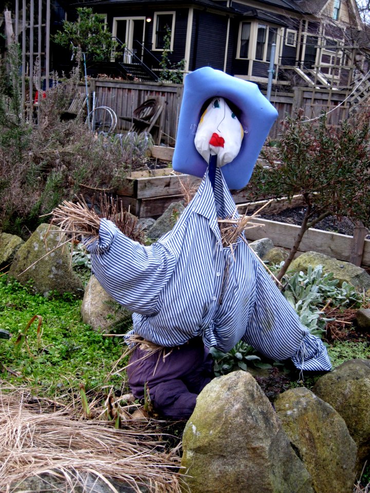 Scare Crow in Mole Hill