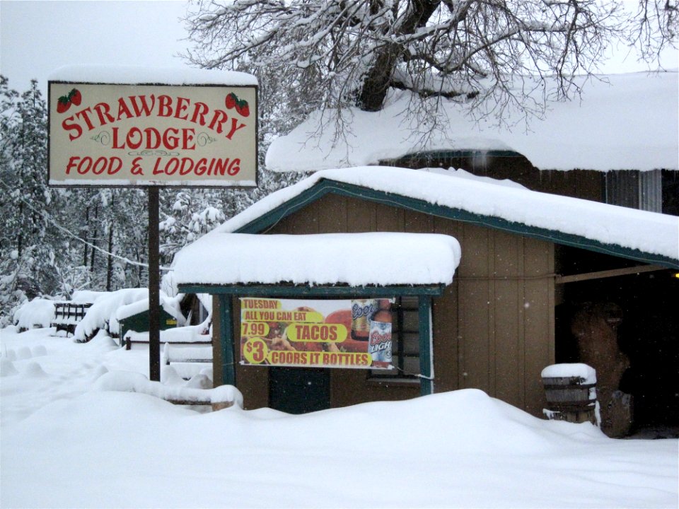 Quiet at the Strawberry Lodge