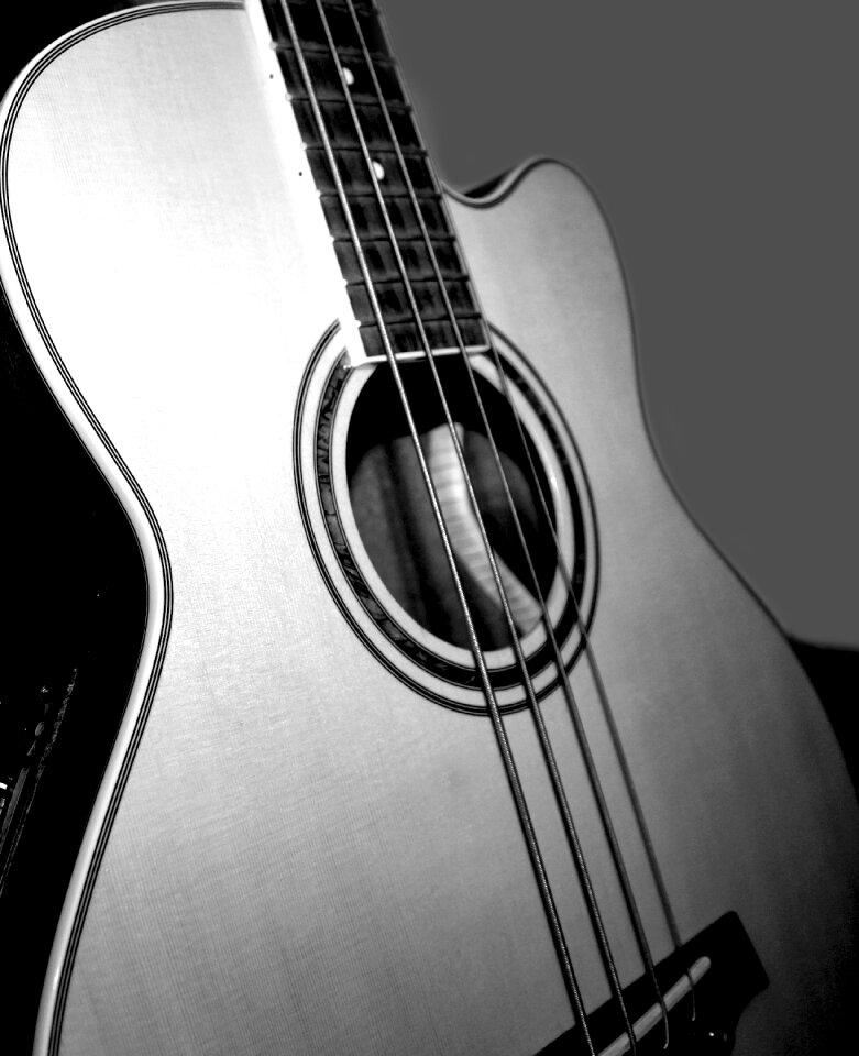 Strings soundboard wood