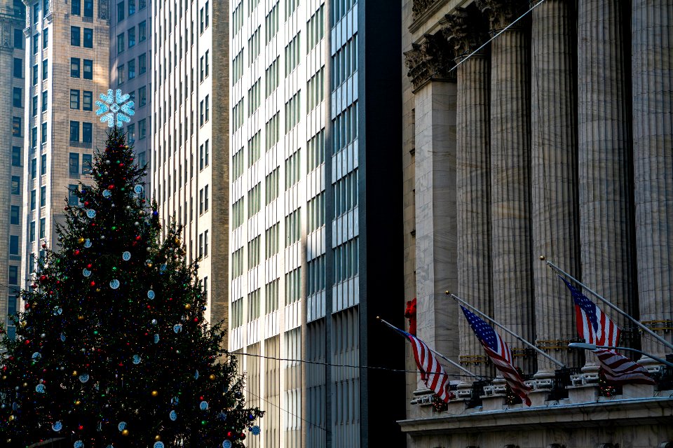 NYSE Tree, back-lit on a sunny day.