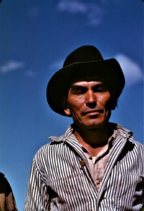 Working Man: Portrait of a migratory worker at a Farm Security Administration camp in Robstown, Texas. Spring 1942. photo