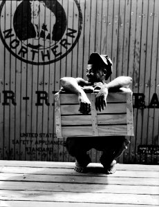 Migrant shed worker. Northeast Florida in Suwanee county, 1936. photo
