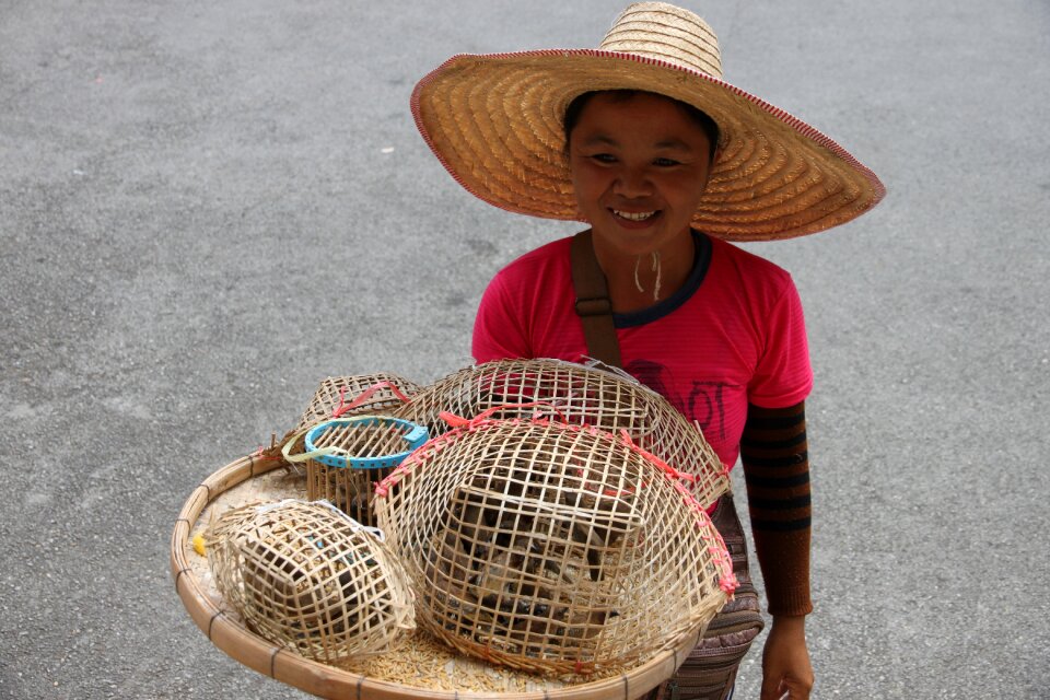 Tradition asian seller