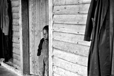 The Day Dreamer: Son of Nat Williamson. Guilford County, North Carolina, April 1938. photo