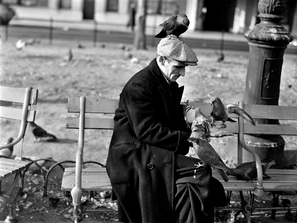 The Birdman: This man feeds the pigeons in Washington Square regularly. New York, New York. December 1941.