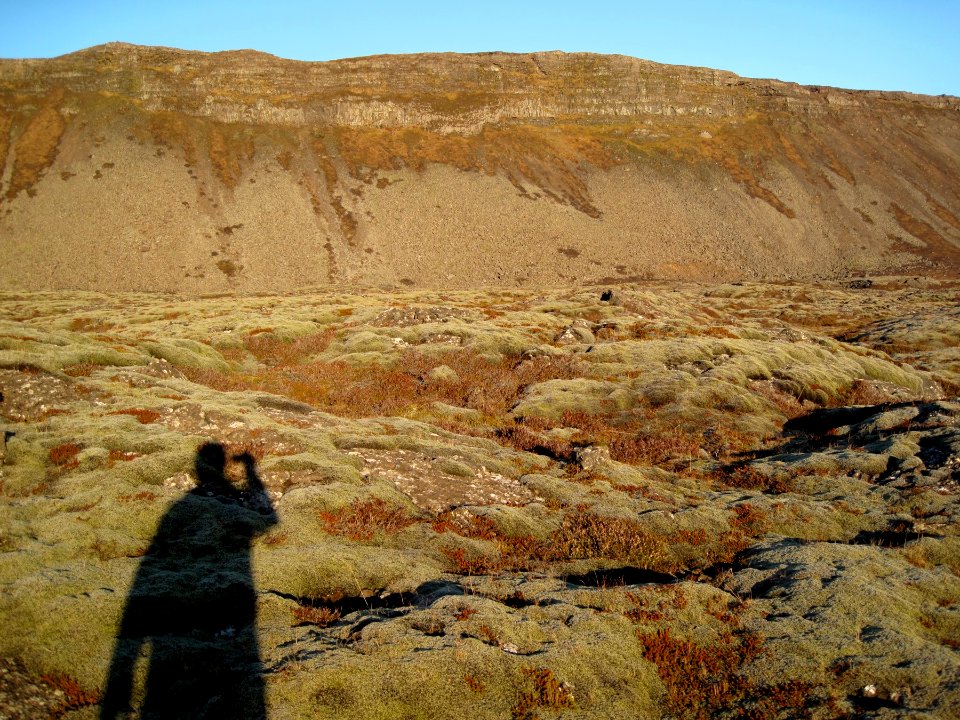 Me and My Mossy Shadow