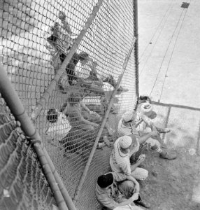 The Dugout: Players and spectators in a baseball game at Ellipse Park. Washington, D.C.  July 1942.