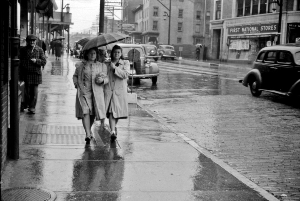 What Are Friends For?: On a rainy day in Norwich, Connecticut. November 1940