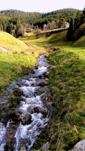Bergbach bei Schwarzenberg im Nordschwarzwald