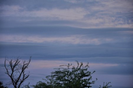 DSC 0049
