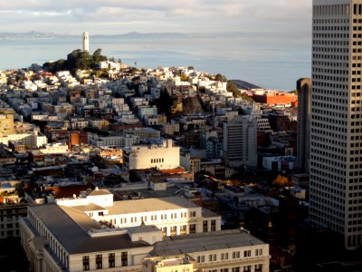 Coit Tower photo