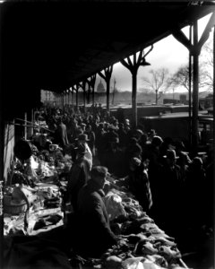 Capitol Forum: Center Market, Washington, D.C. Marketing at Center Market. late 20s early 30s