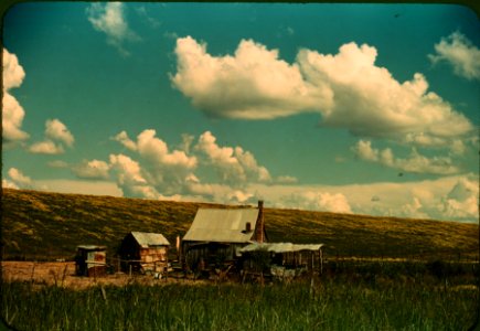 American Landscape: A Black tenant's home beside the Mississippi River levee, near Lake Providence, La. June 1940. photo