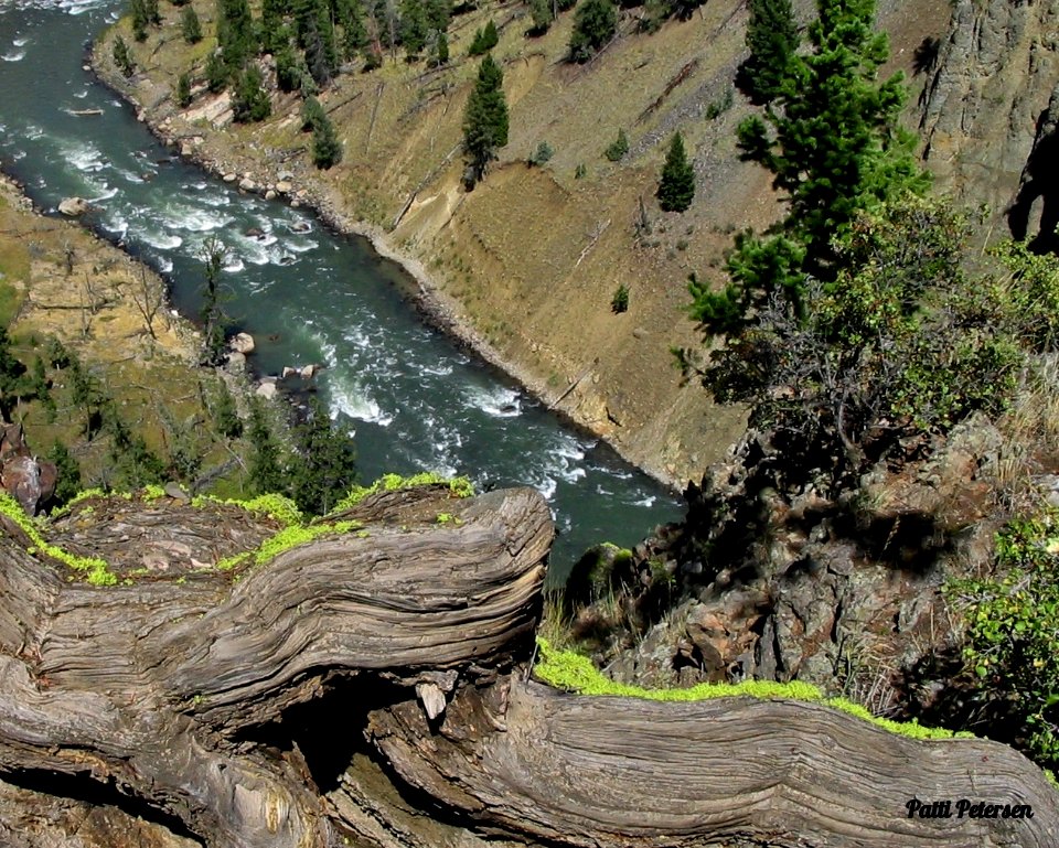 Yellowstone River
