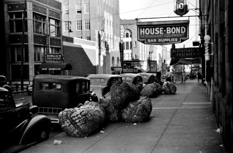 Disputed Passage: Cotton snakes, waste cotton picked from floors of sampling and classing rooms in brokers' offices on Cotton Row, Front Street, Memphis, Tennessee. October 1939.