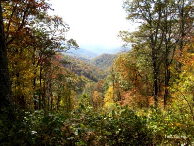 In Smoky Mount. Nat'l. Park