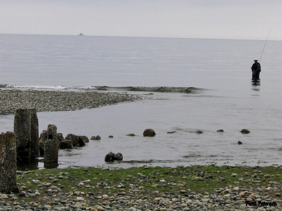 at Puget Sound