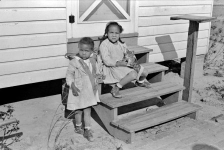 Children on the steps of Mrs. Brown's home. FSA (Farm Security Administration) borrower on Prairie Farms, Montgomery, Alabama, 1939. photo