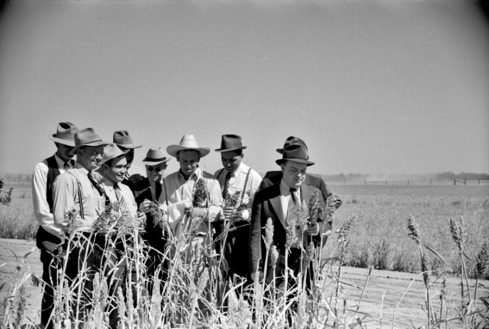 Ag Academy: Farm Security Admnistration county supervisor at farmers field day at United States Dry Land Experiment Station, Akron, Colorado. October 1939.