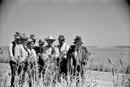 Ag Academy: Farm Security Admnistration county supervisor at farmers field day at United States Dry Land Experiment Station, Akron, Colorado. October 1939. photo