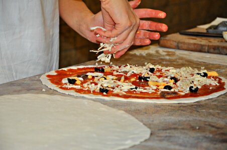 Pizza wood fired oven mozzarella