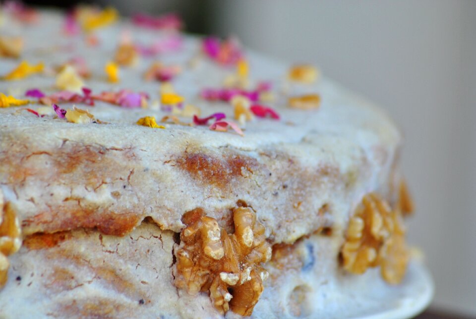 Delicious vegan vegetarian