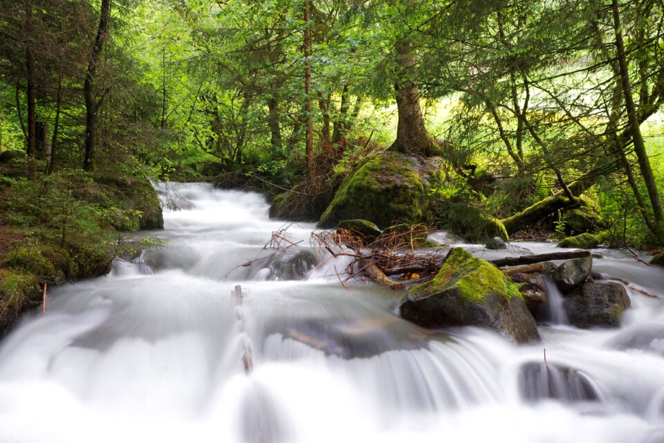 Waters bach watercourse