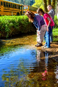 20190425 Glendale Outdoor School 42.jpg photo