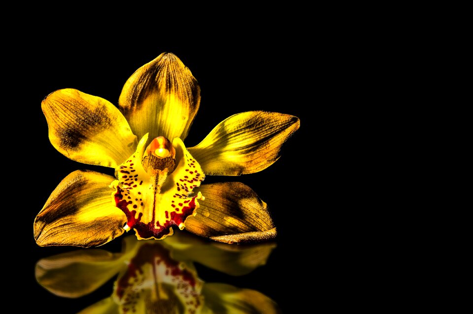 Close up mirrored reflection