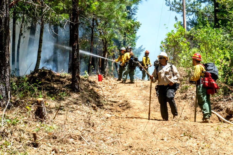 20190625 Prescribed Fire Tller 358.jpg photo