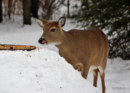Yummy!