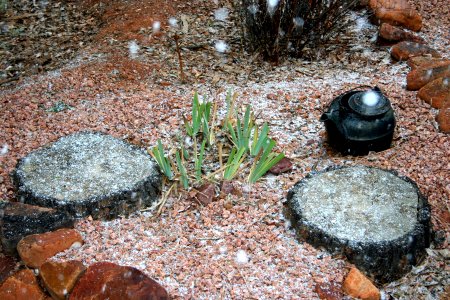 It's snowing!